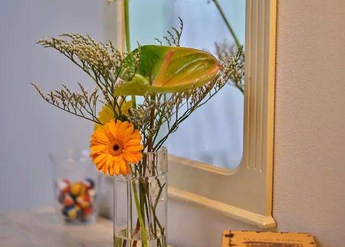 Bed & Breakfast I Terzi Di - Only